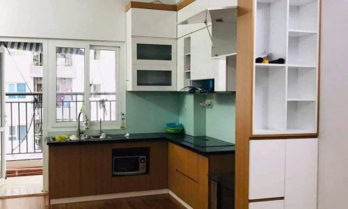 Cho thuê căn hộ full nội thất chung cư Thanh Hà Cienco5